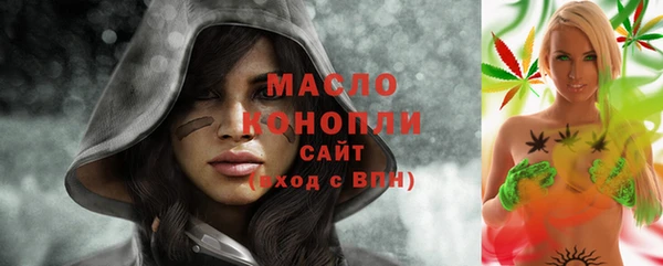стаф Аркадак