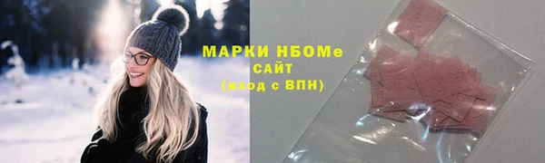 стаф Аркадак