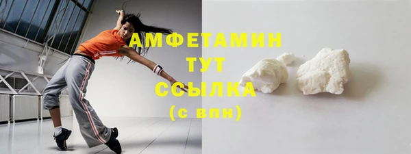 стаф Аркадак