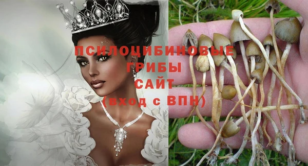 спиды Балахна