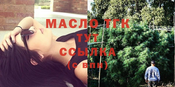 стаф Аркадак
