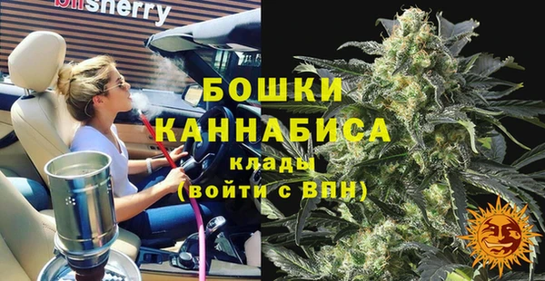 стаф Аркадак