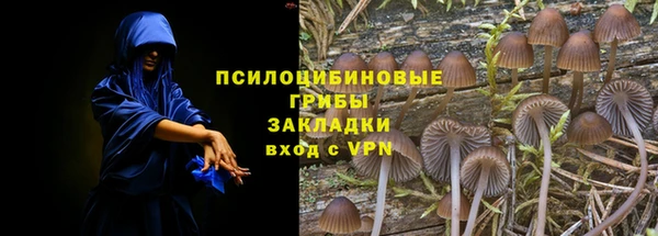 дмт Армянск