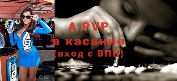стаф Аркадак