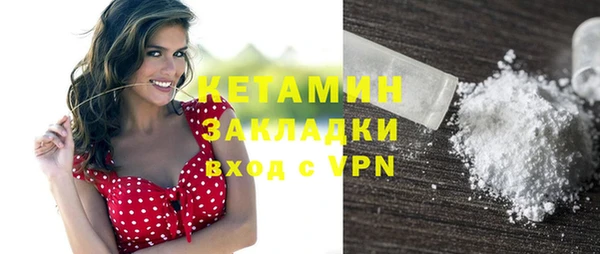 стаф Аркадак