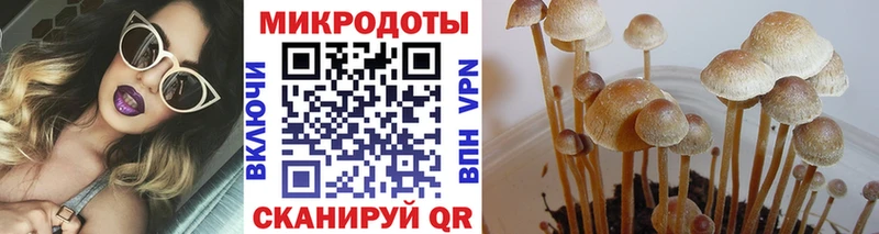 Псилоцибиновые грибы мицелий  как найти наркотики  Усинск 